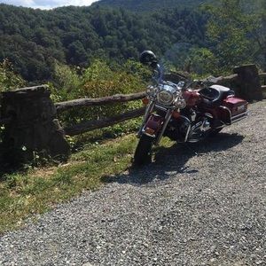 Meet your Posher, Ricky